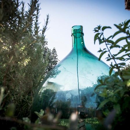 カマイオーレ Casa Vittoriaヴィラ エクステリア 写真
