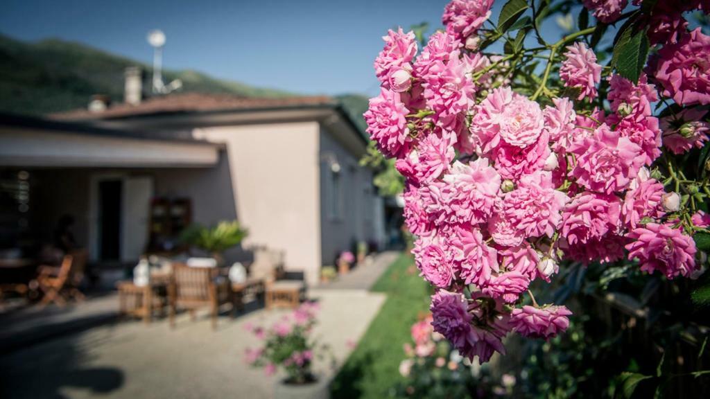 カマイオーレ Casa Vittoriaヴィラ エクステリア 写真